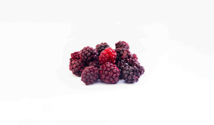 Freeze Dried Blackberries